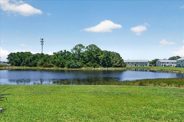 11607 COLONY LAKE DRIVE, Tampa, FL 33635