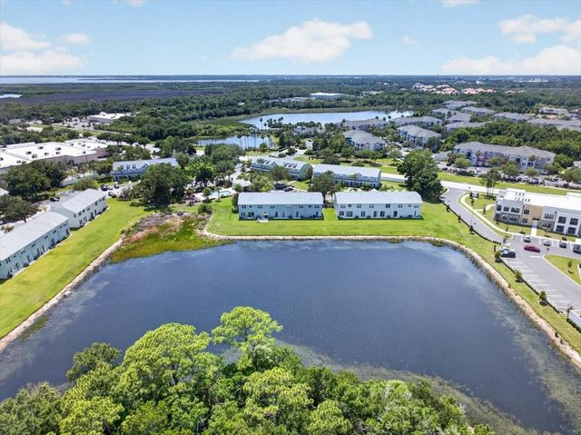 11607 COLONY LAKE DRIVE, Tampa, FL 33635