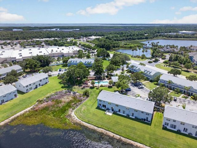 11607 COLONY LAKE DRIVE, Tampa, FL 33635