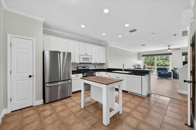 11607 COLONY LAKE DRIVE, Tampa, FL 33635