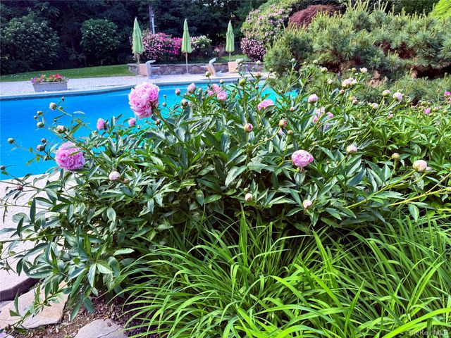 10 Cypress Point Drive, Purchase, NY 10577