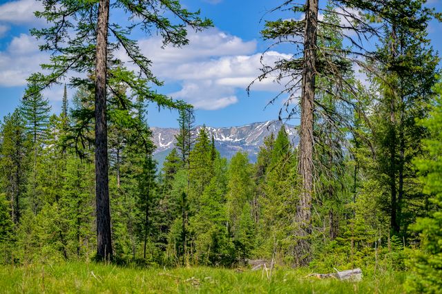 NHN Lindbergh Lake Road, Condon, MT 59826