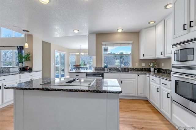 1645 Birchleaf Court, Castle Rock, CO 80104