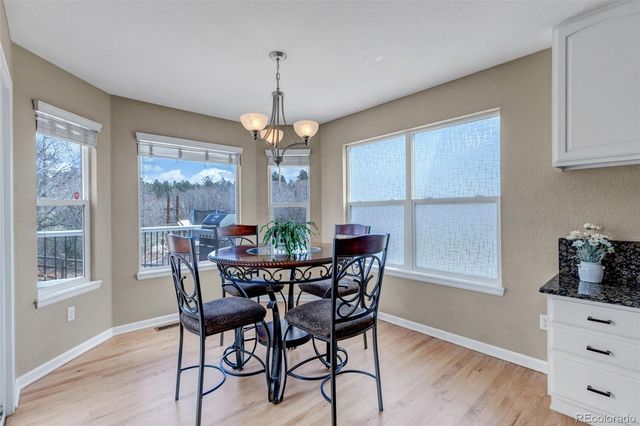 1645 Birchleaf Court, Castle Rock, CO 80104