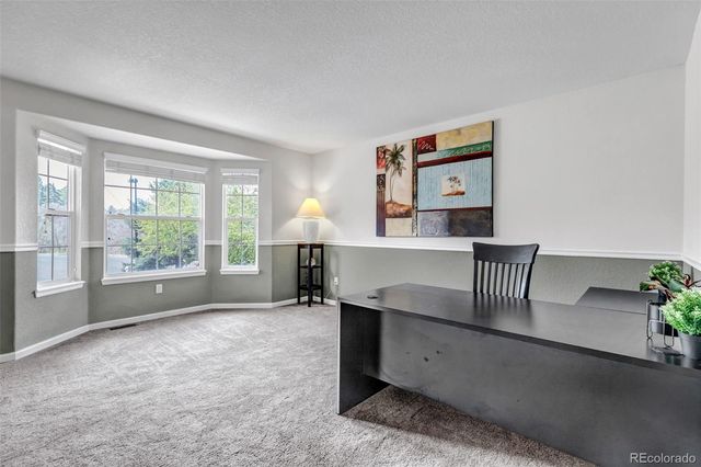 1645 Birchleaf Court, Castle Rock, CO 80104