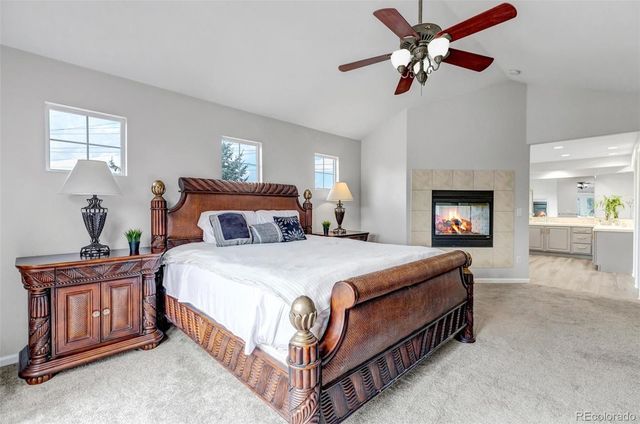 1645 Birchleaf Court, Castle Rock, CO 80104