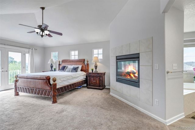 1645 Birchleaf Court, Castle Rock, CO 80104
