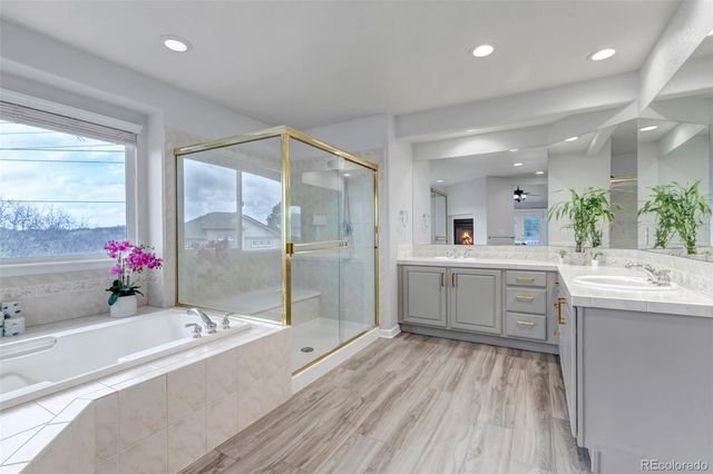 1645 Birchleaf Court, Castle Rock, CO 80104