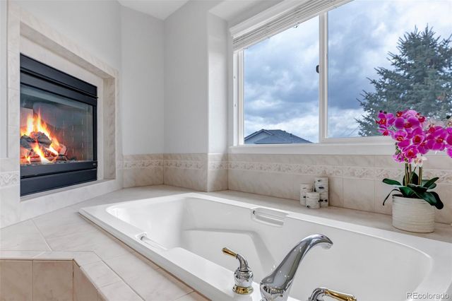 1645 Birchleaf Court, Castle Rock, CO 80104
