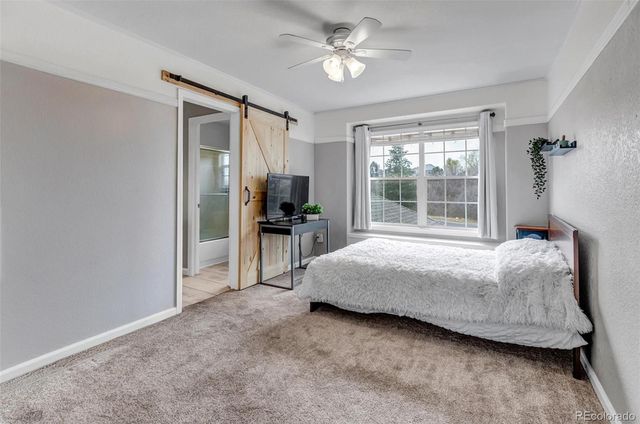 1645 Birchleaf Court, Castle Rock, CO 80104