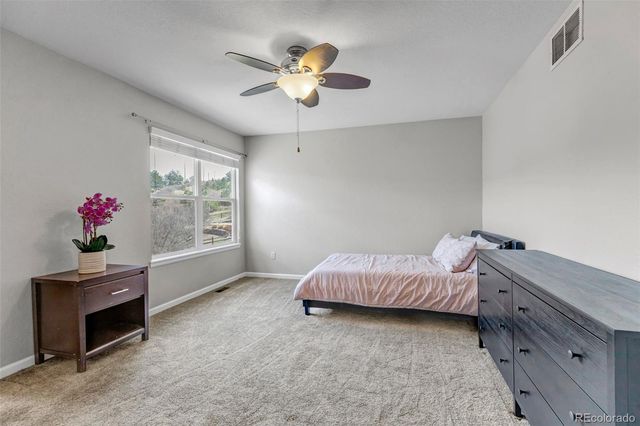 1645 Birchleaf Court, Castle Rock, CO 80104