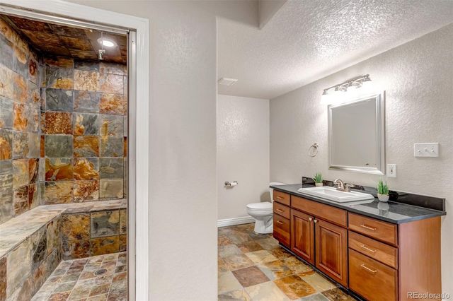 1645 Birchleaf Court, Castle Rock, CO 80104