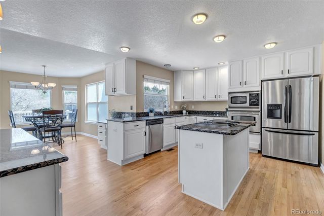 1645 Birchleaf Court, Castle Rock, CO 80104