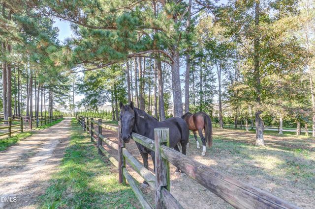 232 Paraggi Court, Clayton, NC 27527