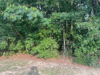 6579 Red Maple Drive, Mobile, AL 36618