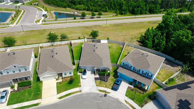 18379 FALLING PINE NEEDLE LANE, Land O Lakes, FL 34638