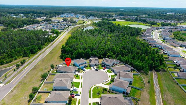 18379 FALLING PINE NEEDLE LANE, Land O Lakes, FL 34638