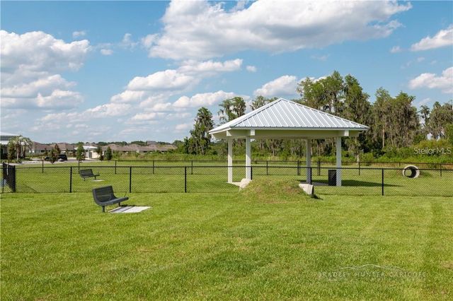 18379 FALLING PINE NEEDLE LANE, Land O Lakes, FL 34638