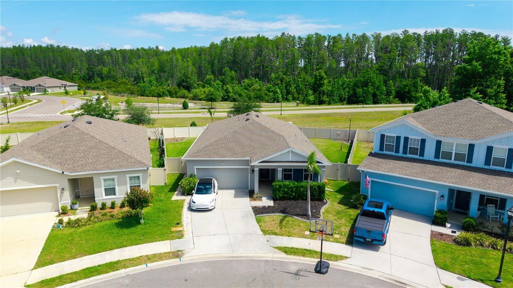18379 FALLING PINE NEEDLE LANE, Land O Lakes, FL 34638