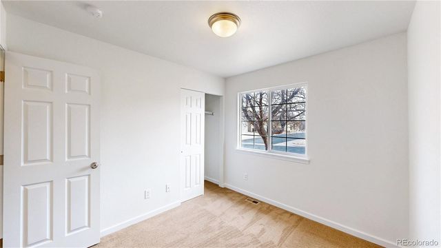 716 Bristle Cone Drive, Severance, CO 80550