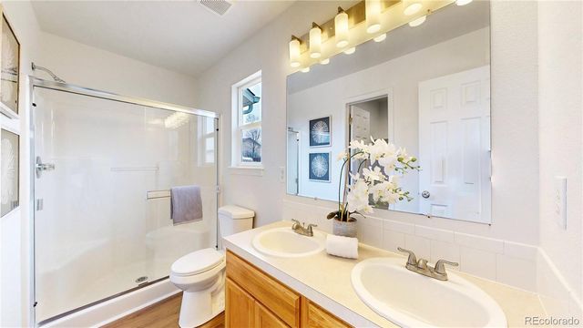 716 Bristle Cone Drive, Severance, CO 80550