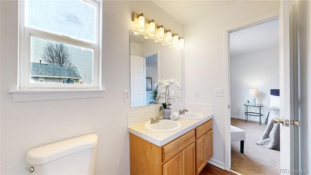 716 Bristle Cone Drive, Severance, CO 80550