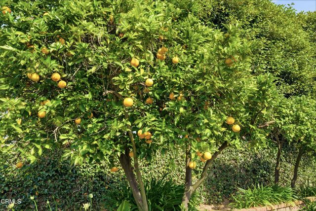 1490 Calle La Cumbre, Camarillo, CA 93010