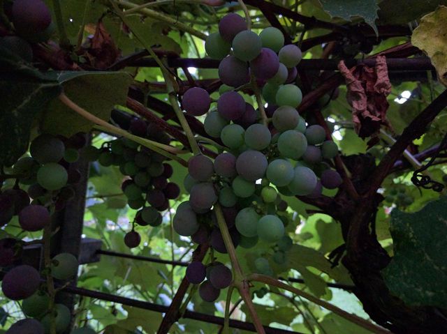 213 Highland Street, Mount Horeb, WI 53572