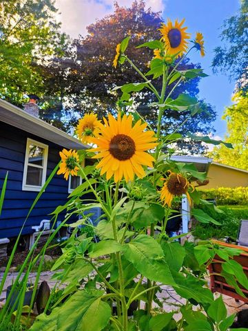 213 Highland Street, Mount Horeb, WI 53572