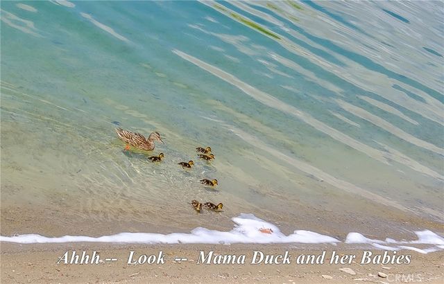 26358 Edgewater Lane, Helendale, CA 92342