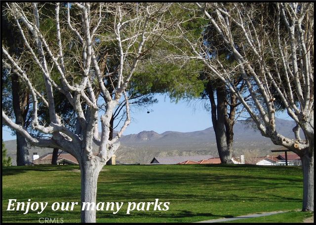 26358 Edgewater Lane, Helendale, CA 92342