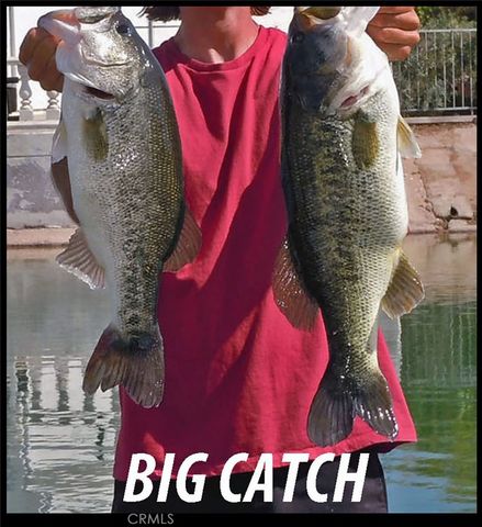 26358 Edgewater Lane, Helendale, CA 92342