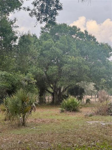 10963 SE SHELFER AVENUE, Arcadia, FL 34266