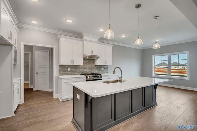 141 Brier View Drive, Meridianville, AL 35759