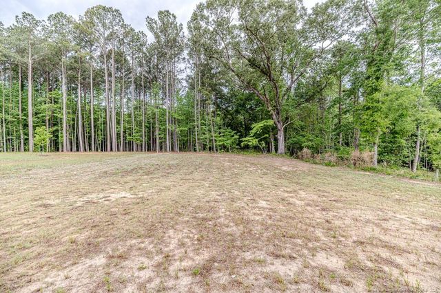 261 River Falls Road, Sanford, NC 27332