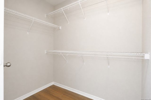 11106 Palomino Bnd, San Antonio, TX 78254
