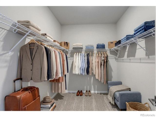 678 Noola Street, Windsor, CO 80550