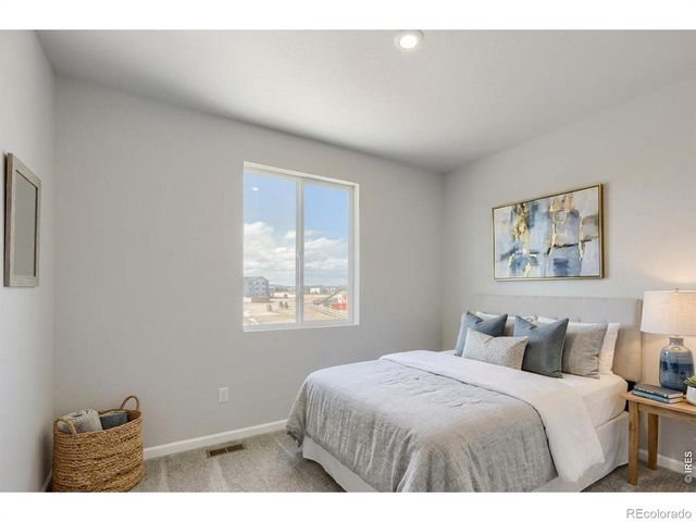 678 Noola Street, Windsor, CO 80550