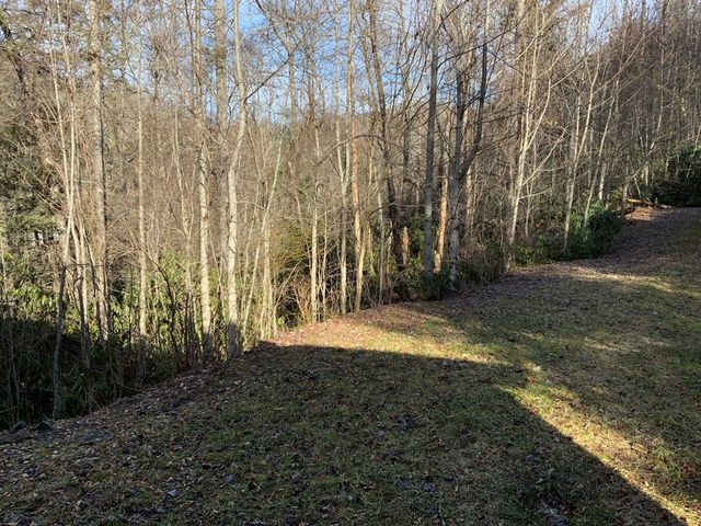 60 Porterfield Gap Road, Robbinsville, NC 28771