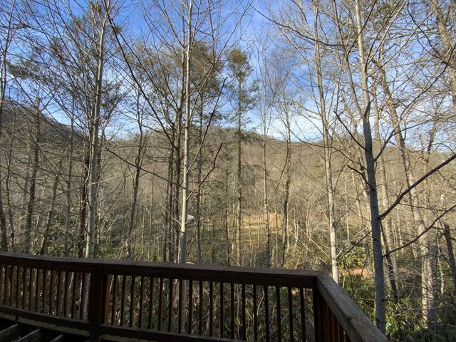 60 Porterfield Gap Road, Robbinsville, NC 28771