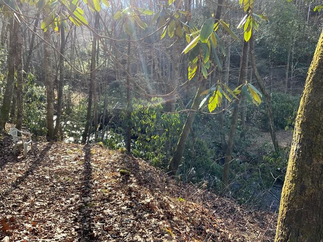 60 Porterfield Gap Road, Robbinsville, NC 28771