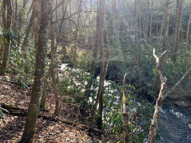 60 Porterfield Gap Road, Robbinsville, NC 28771