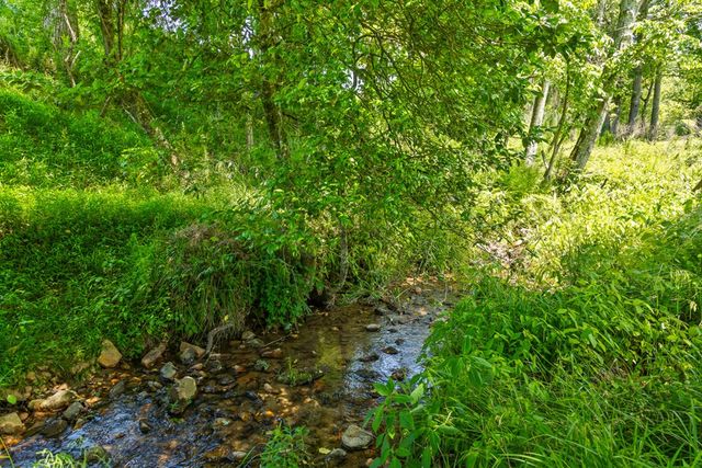 Lot 12 Squirrel Hunt Road, Morganton, GA 30560