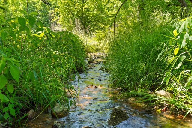 Lot 12 Squirrel Hunt Road, Morganton, GA 30560