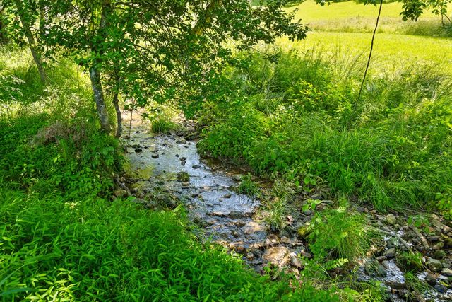 Lot 12 Squirrel Hunt Road, Morganton, GA 30560