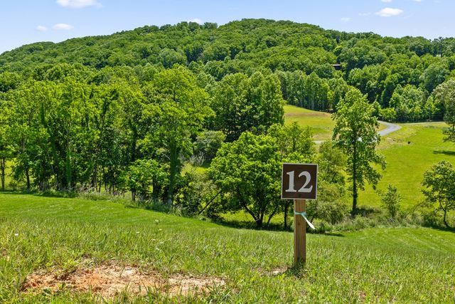 Lot 12 Squirrel Hunt Road, Morganton, GA 30560