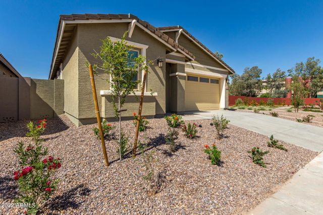 132 E Teakwood Drive, Chandler, AZ 85249