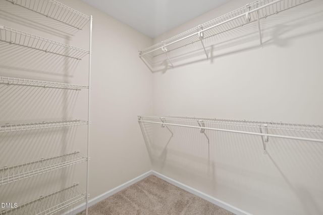 107 White Burley Court, Durham, NC 27703