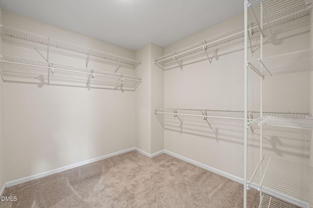 107 White Burley Court, Durham, NC 27703