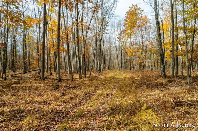 1125 Chaput Drive, Sears, MI 49679